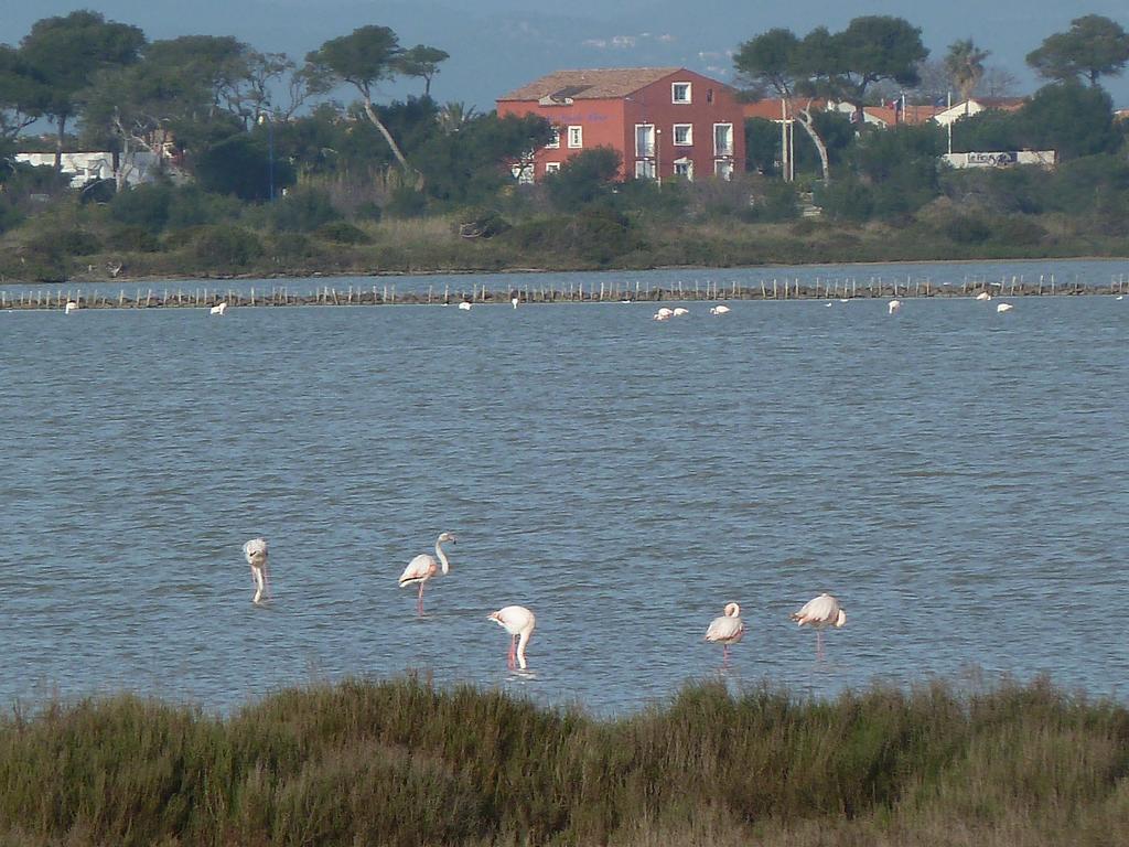 Residence Hoteliere La Pinede Bleue Hyères Zewnętrze zdjęcie